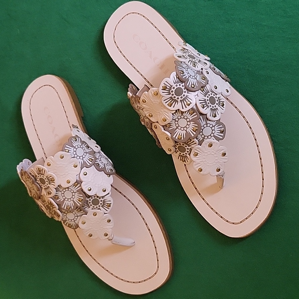Womens Coach Lottie Link Tea Rose Flat Thong Sandals
